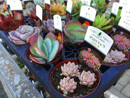 20161116104515.jpg