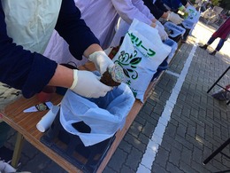20161116110535.jpg