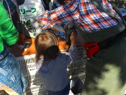20161116113507.jpg