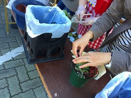 20161116114012.jpg