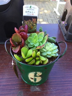 20161116114517.jpg