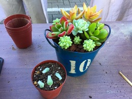 20161116115022.jpg