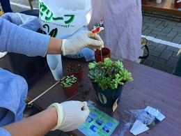 20161116115527.jpg