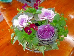 20161213105025.jpg