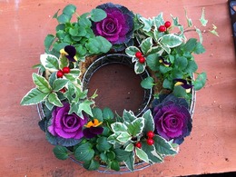 20161217103235.jpg