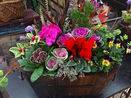 20161226173010.jpg