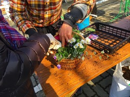 20170128104550.jpg