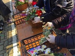 20170128105055.jpg