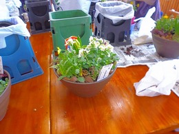 20170214110504.jpg