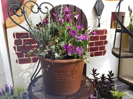 20170305103540.jpg