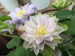 20170309112527.jpg