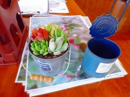 20170314100005.jpg