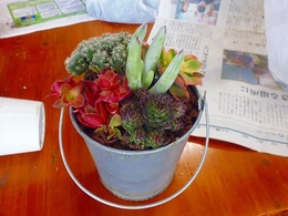 20170314103035.jpg