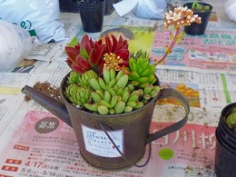 20170314103540.jpg