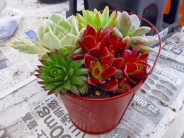 20170314105055.jpg