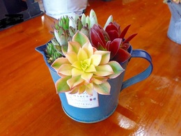 20170314105500.jpg