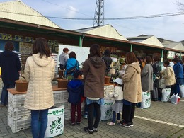 20170318100500.jpg