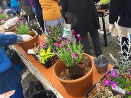 20170318102520.jpg