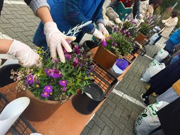 20170318105550.jpg