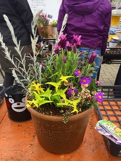 20170318111005.jpg
