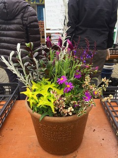 20170318111510.jpg