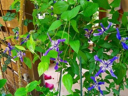 20170511_111334.jpg