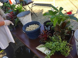20170520100510.jpg