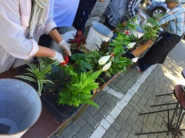 20170520101015.jpg