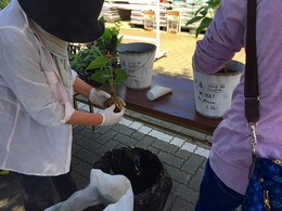 20170520102227.jpg