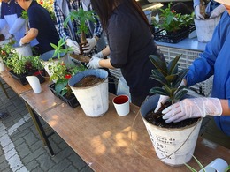 20170520102530.jpg