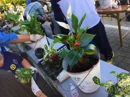 20170520103035.jpg