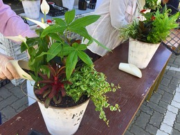 20170520104045.jpg