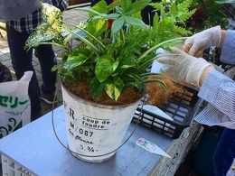 20170520104348.jpg