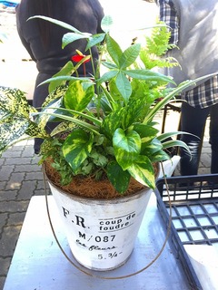 20170520110005.jpg