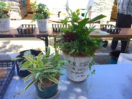 20170520110510.jpg