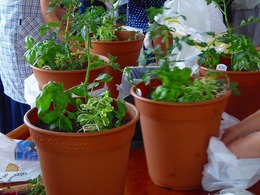 20170606102125.jpg