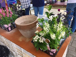 20170617100308.jpg