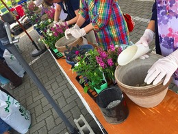20170617100510.jpg