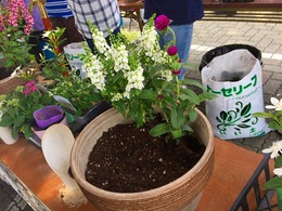 20170617101116.jpg