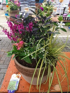 20170617102732.jpg