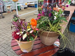 20170617103540.jpg