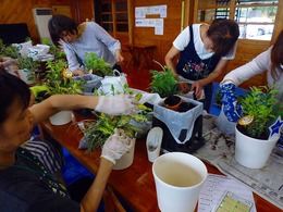 20170711102530.jpg