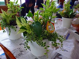 20170711103035.jpg