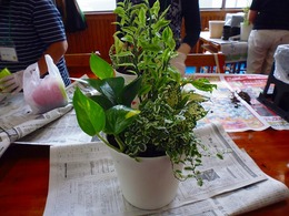 20170711103540.jpg