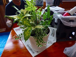 20170711104045.jpg