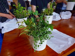 20170711104550.jpg