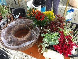 20170729100510.jpg