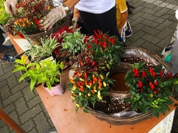 20170729101722.jpg