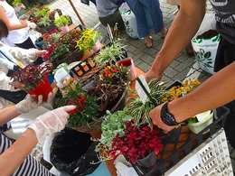 20170729102025.jpg