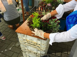 20170729103035.jpg
